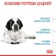 Royal Canin Giant Junior Сухой корм для щенков