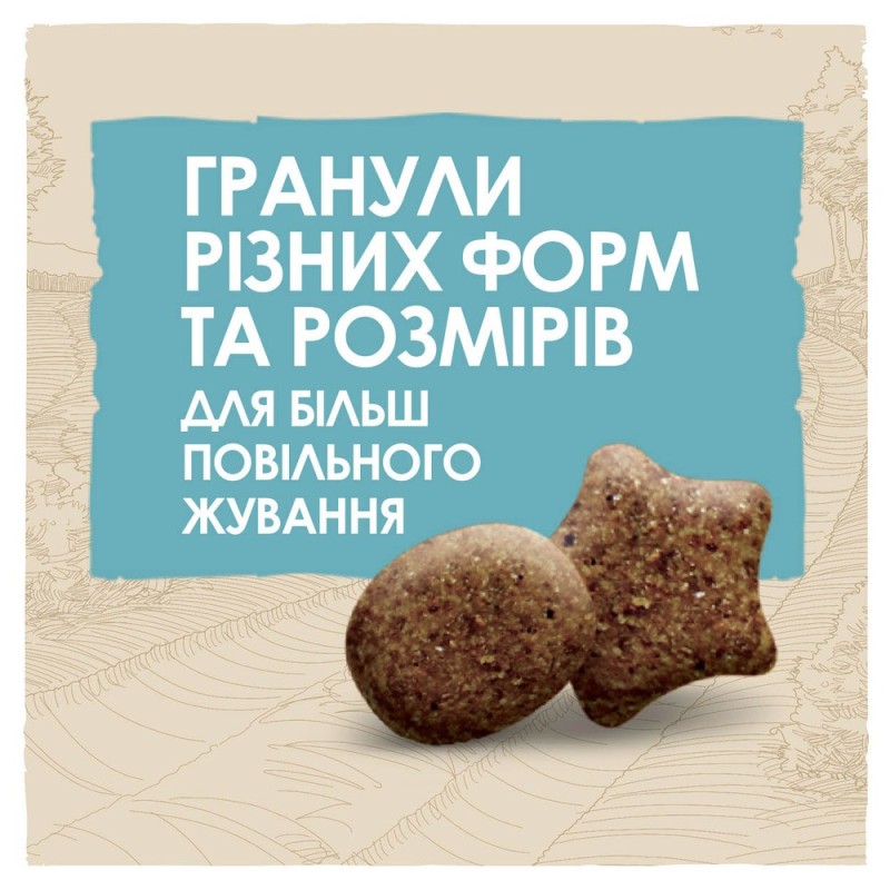 Dog Chow Puppy Large Breed Сухий корм для цуценят великих порід з індичкою