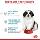 Royal Canin Giant Puppy Сухой корм для щенков