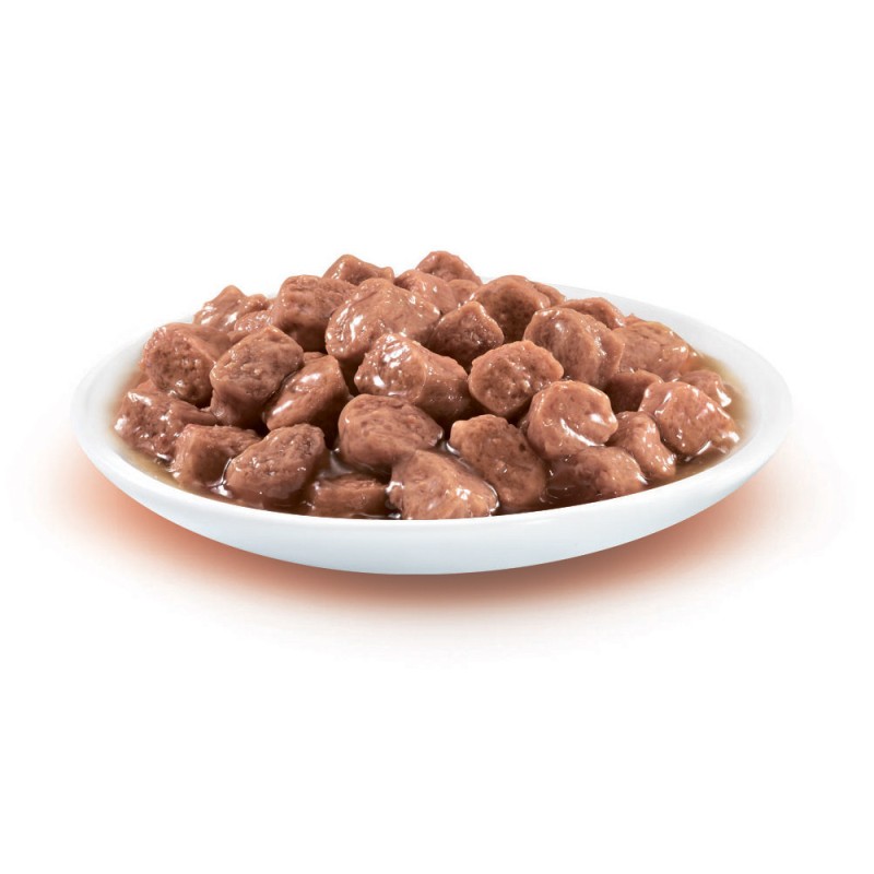 Friskies Консерви для дорослих кішок з лососем шматочки у підливі