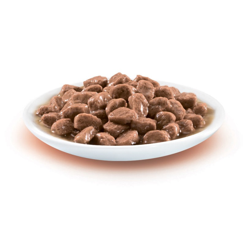 Friskies Консервы для взрослых кошек с уткой кусочки в подливе