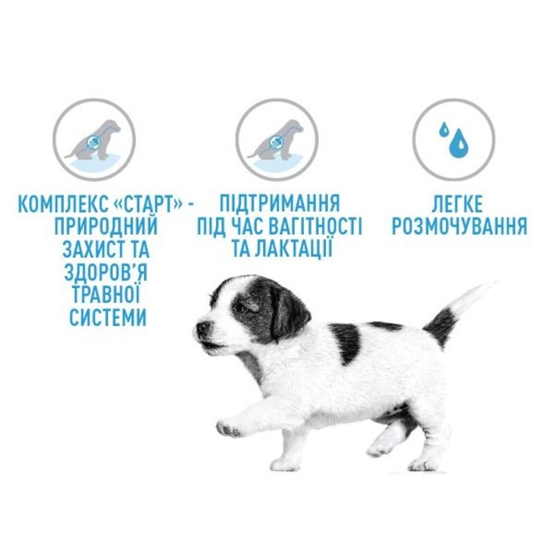 Royal Canin Giant Starter Сухой корм для щенков