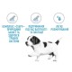 Royal Canin Giant Starter Сухой корм для щенков
