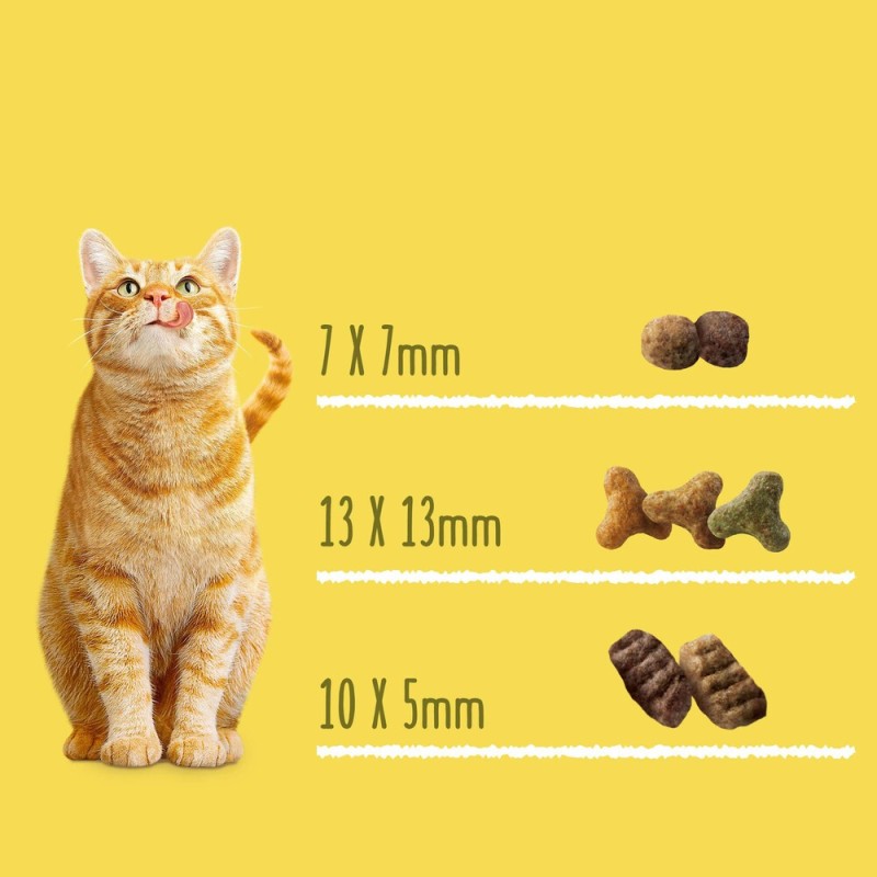 Friskies Сухой корм для взрослых кошек с говядиной курицей и овощами