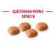 Royal Canin Golden Retriever Puppy Сухой корм для щенков