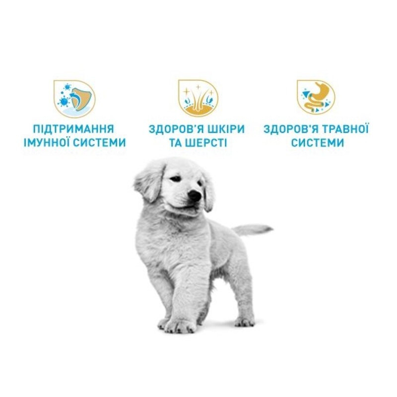 Royal Canin Golden Retriever Puppy Сухой корм для щенков