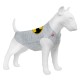 Collar Waudog Clothes Майка для собак рисунок 