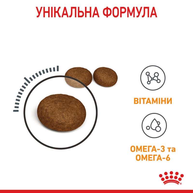 Royal Canin Hair&Skin Care Сухой корм для взрослых кошек