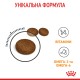 Royal Canin Hair&Skin Care Сухой корм для взрослых кошек