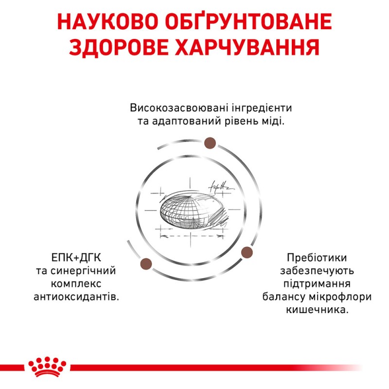 Royal Canin Hepatic Feline Лечебный корм для взрослых кошек