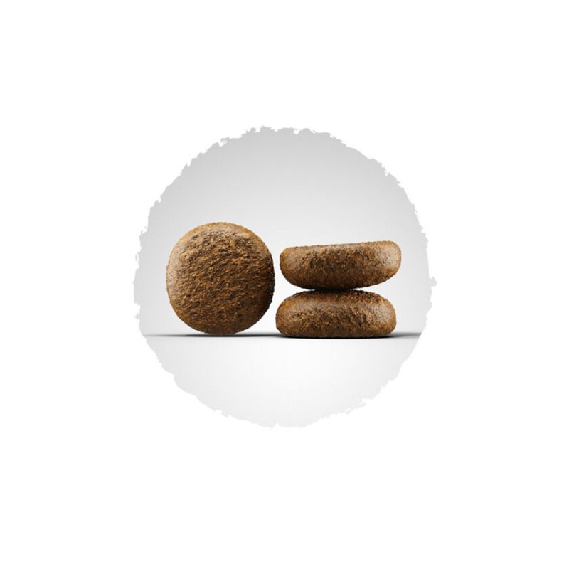Josera Active Nature Сухой корм для взрослых активных собак
