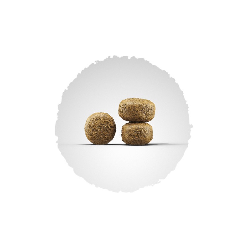 Josera Balance Сухой корм для взрослых пожилых собак