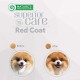 Natures Protection Dog Adult Superior Care Red Coat Grain Free Mini Breeds Беззерновой корм для взрослых собак мелких пород с рыжим окрасом с лососем