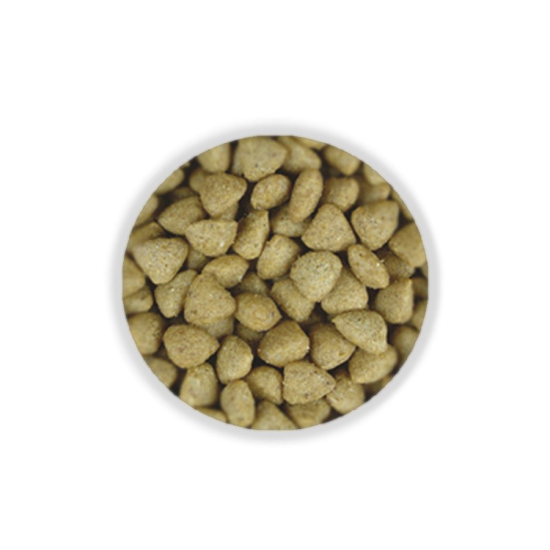 Josera JosiCat Tasty Beef Сухий корм для дорослих кішок з яловичиною