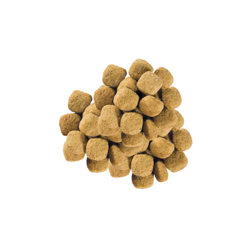 Royal Canin Hypoallergenic Moderate Calorie Dog Canine Лечебный корм для собак
