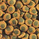 Tetra Pleco Spirulina Wafers Корм-пластинки для травоядных донных рыб с содержанием спирулины