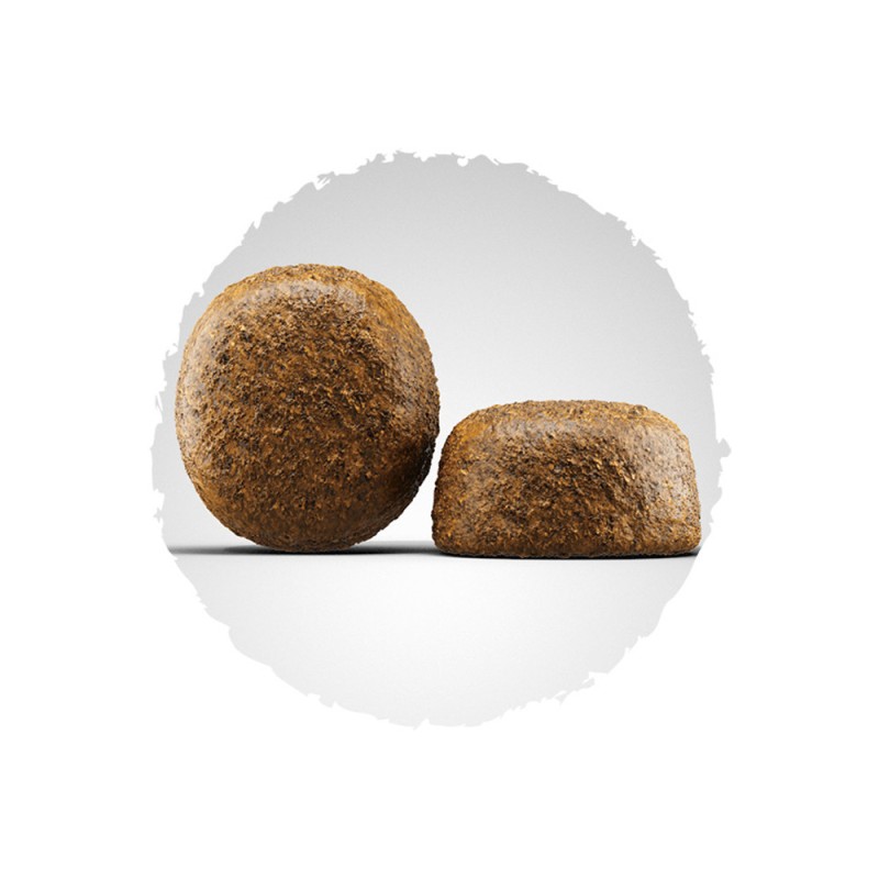 Josera Large Breed Сухой корм для взрослых собак крупных пород