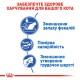 Royal Canin Indoor Сухой корм для взрослых кошек