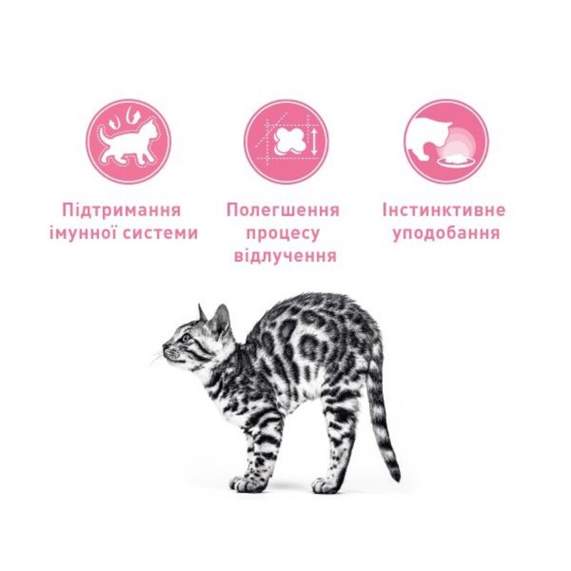 Royal Canin Mother&Babycat Сухой корм для котят
