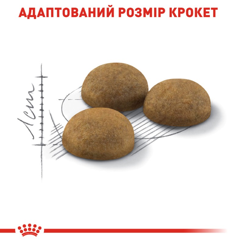 Royal Canin Indoor Longhair Сухой корм для взрослых кошек
