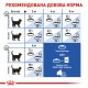 Royal Canin Indoor Longhair Сухой корм для взрослых кошек