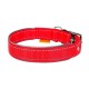 Collar Dog Extremе Ошейник для собак нейлоновый двойной со светоотражающей вставкой красный