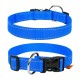 Collar Dog Extremе Ошейник для собак нейлоновый регулируемый голубой