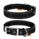Collar Dog Extremе Ошейник для собак нейлоновый двойной со светоотражающей вставкой черный