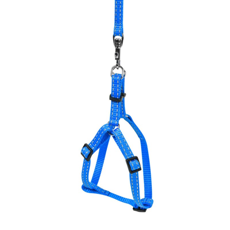 Collar Dog Extremе Шлея нейлоновая регулируемая с поводком голубая