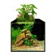 Collar AquaLighter aFARM AQUAPONIC SET Аквариумный набор с фермой для выращивания растений