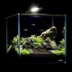 Collar AquaLighter Nano Set Аквариумный набор