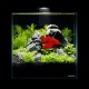 Collar AquaLighter Pico Set Аквариумный набор