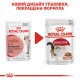 Royal Canin Instinctive in Gravy Консервы для взрослых кошек