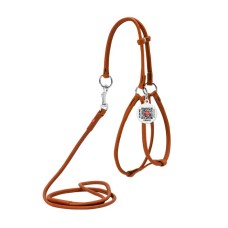 Collar Waudog Soft Шлея с поводком для собак кожаная круглая коричневая