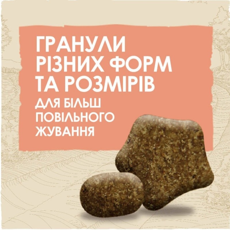 Dog Chow Adult Sensitive Сухий корм для дорослих собак з чутливим травленням з лососем