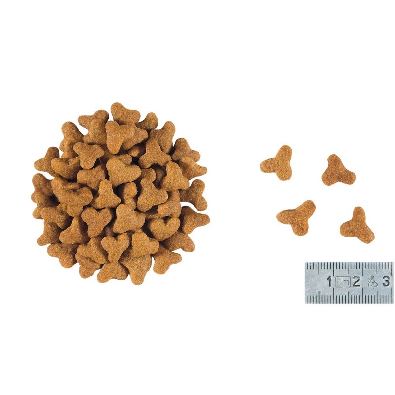 Royal Canin Gastro Intestinal Fibre Response Feline Лечебный корм для взрослых кошек