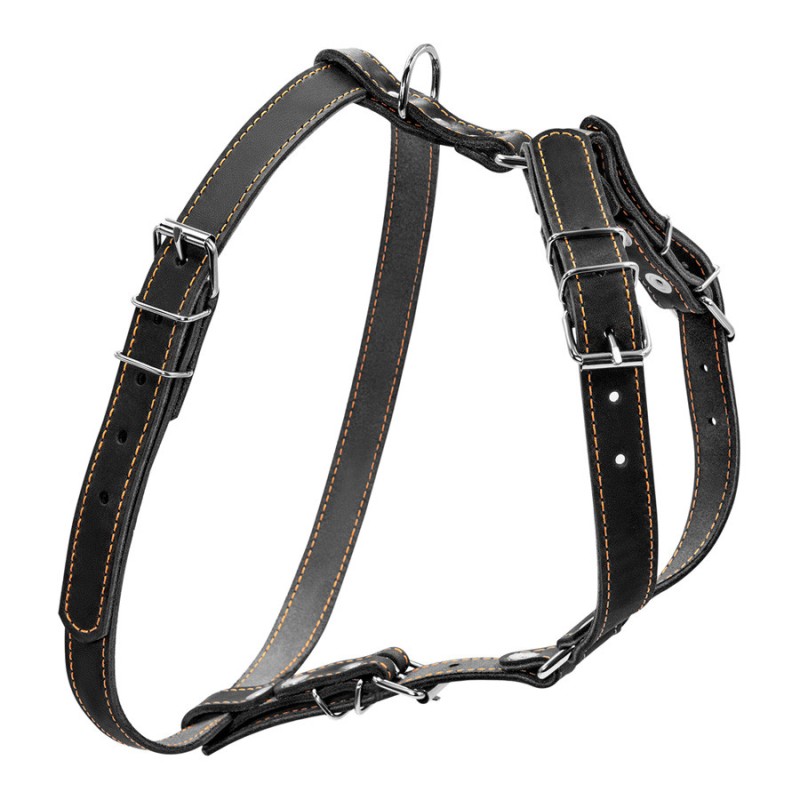 Collar Шлей одинарний шкіряний для дрібних і середніх собак