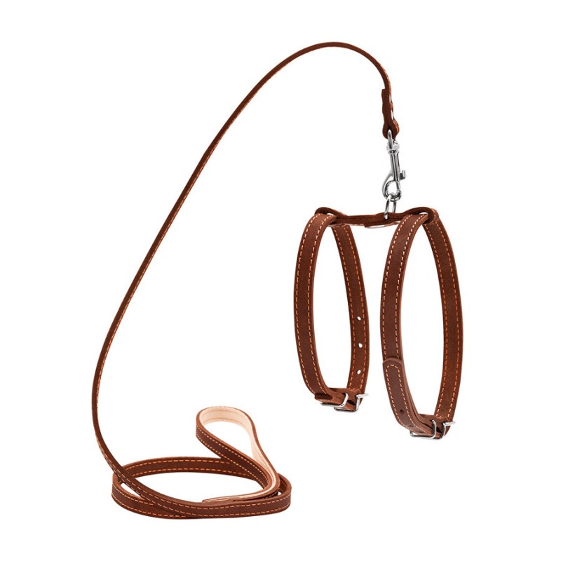 Collar Шлея с поводком кожаная для мелких собак