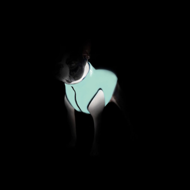 Collar AiryVest Lumi Двостороння куртка, що світиться для собак салатово-блакитна