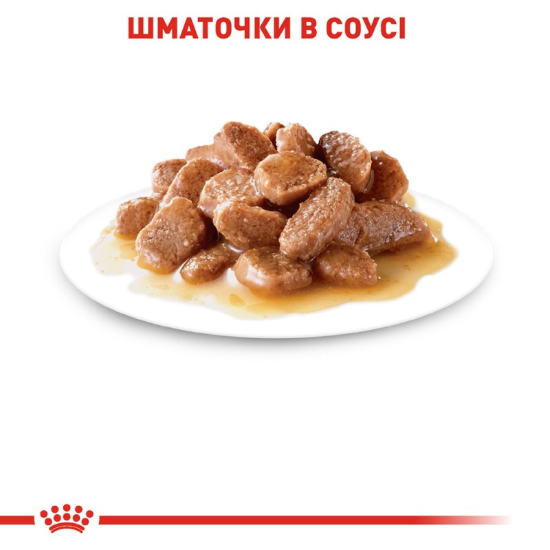 Royal Canin Intense Beauty in Gravy Консерви для дорослих кішок