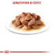 Royal Canin Intense Beauty in Gravy Консерви для дорослих кішок
