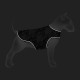 Collar Waudog Clothes Курточка-накидка для собак Рик и Морти 1