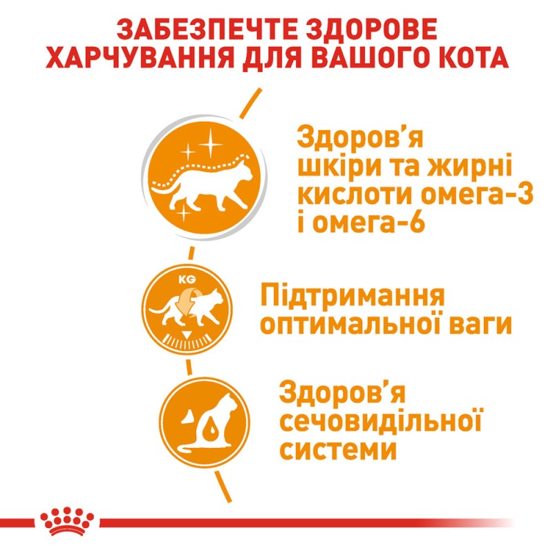 Royal Canin Intense Beauty in Jelly Консерви для дорослих кішок