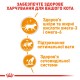 Royal Canin Intense Beauty in Jelly Консерви для дорослих кішок