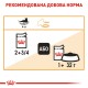 Royal Canin Intense Beauty in Jelly Консерви для дорослих кішок