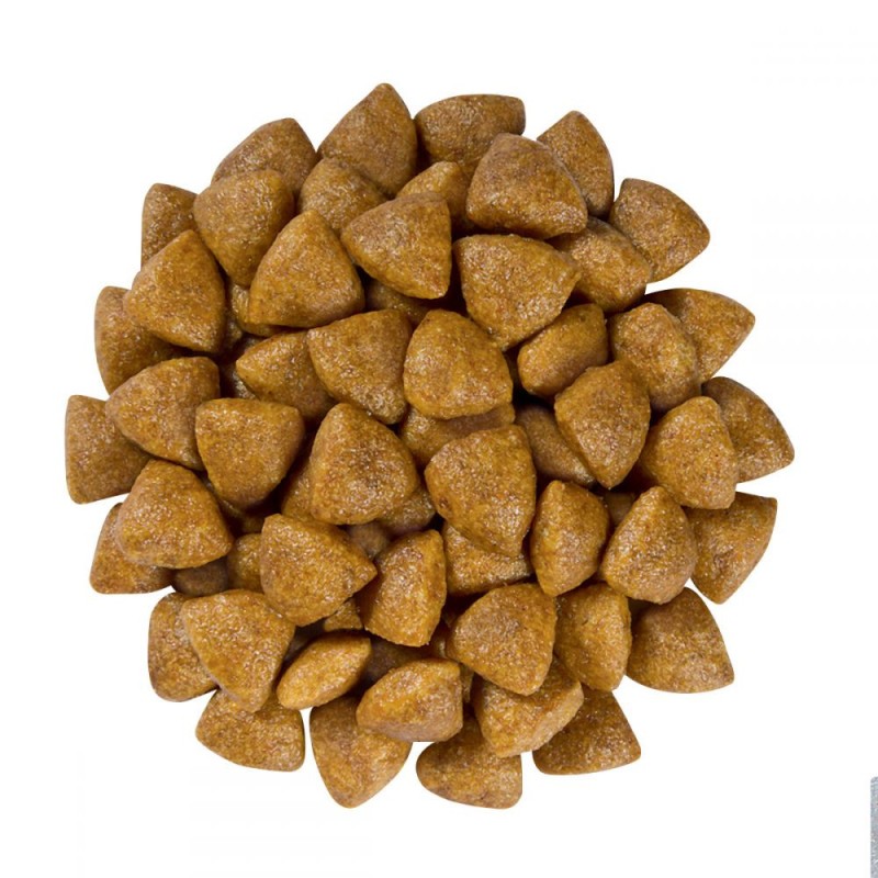 Royal Canin Renal Feline Special Лечебный корм для взрослых кошек
