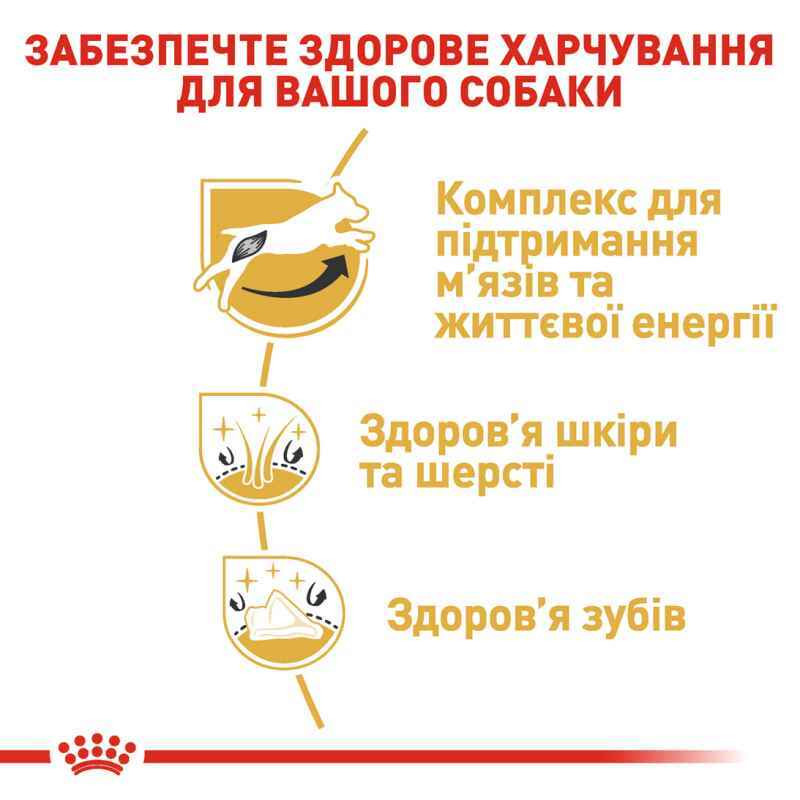 Royal Canin Jack Russel Adult Сухой корм для собак
