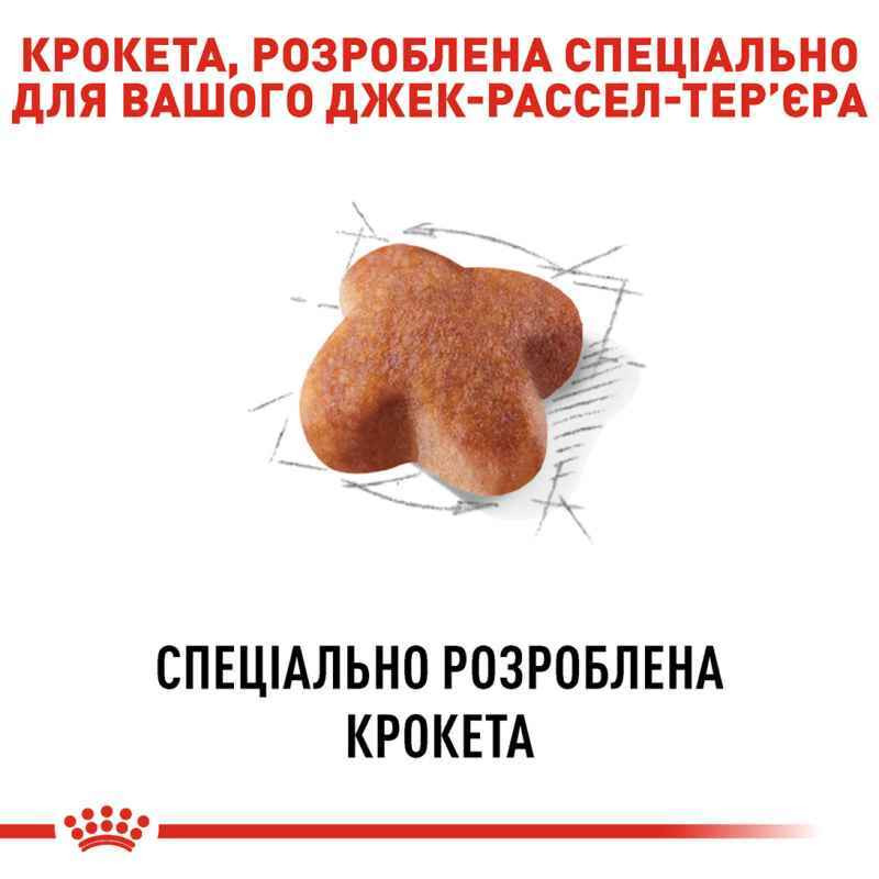 Royal Canin Jack Russel Adult Сухой корм для собак