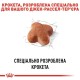 Royal Canin Jack Russel Adult Сухой корм для собак