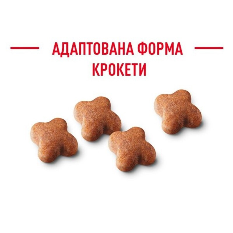Royal Canin Jack Russel Puppy Сухой корм для щенков